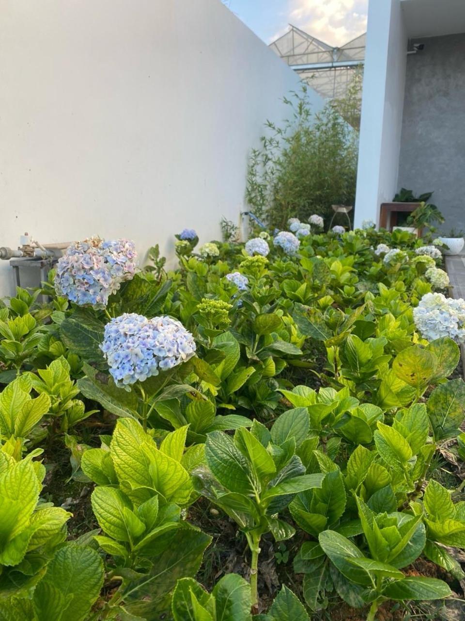 Hotel Ekehaus Đà Lạt Khu Chi Lăng Esterno foto